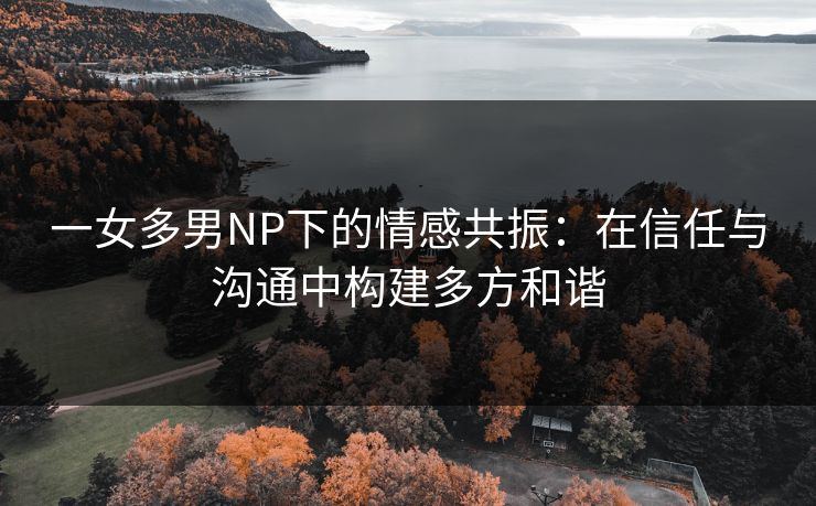 一女多男NP下的情感共振：在信任与沟通中构建多方和谐