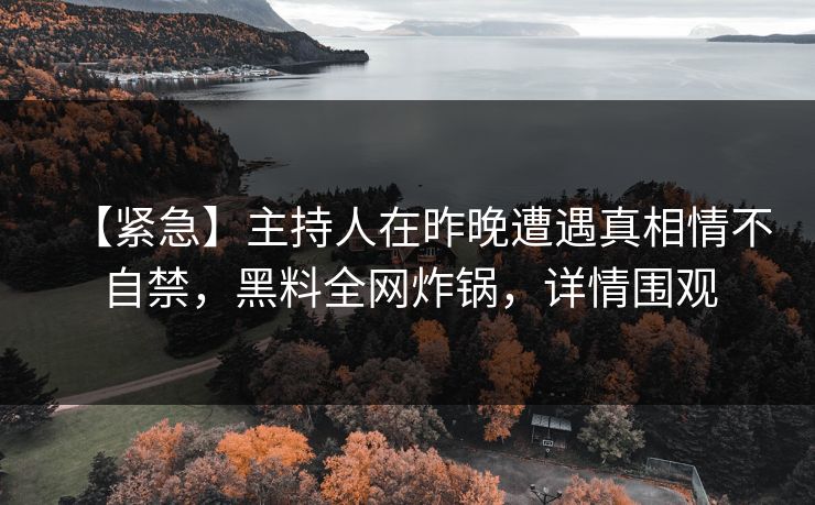 【紧急】主持人在昨晚遭遇真相情不自禁,黑料全网炸锅,详情围观 【紧急】主持人在昨晚遭遇真相情不自禁,黑料全网炸锅,详情围观
